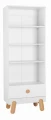 bookcase.jpg