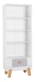 bookcase+fabrics.jpg
