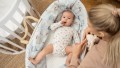 33355.jpg
