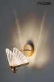 MSE010100323_butterfly_rg_2.jpg