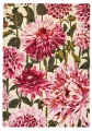 HAR-dahlia-fuchsia-palm-142402-A-hr-—-kopia.jpg