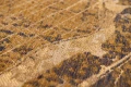 9315_NEW-YORK_GOLDEN-AGE_DETAIL02__WEB.jpg
