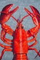 9389_STEAM-RED_DETAIL_03__WEB.jpg