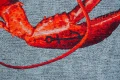 9389_STEAM-RED_DETAIL_05__WEB.jpg