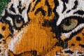 9388_GREENONFIRE_DETAIL_01__WEB.jpg