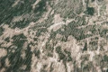 LDP_8723_CRACKS_DARKPINE_DETAIL001_WEB.jpg