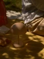 126057