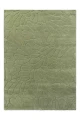 LA-coleby-petals-hedgerow-green-078807-A-hr.webp