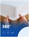 80be4f9f0fa50b853a76e75a01ab12f5